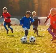 米乐体育,资讯,米乐体育平台,米乐体育平台,米乐体育官方网站,米乐体育登录入口,米乐体育app下载