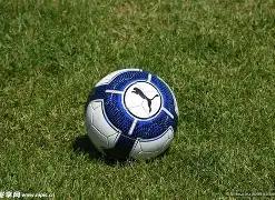 承兑相关词,汇与释义,米乐体育,米乐体育平台,米乐体育官方网站,米乐体育登录入口,米乐体育app下载