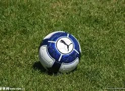 轮椅篮球队,长林穗玲,从孤僻少女,米乐体育平台,米乐体育官方网站,米乐体育登录入口,米乐体育app下载