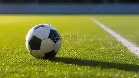 詹姆斯30+8创佳绩，湖人战绩攀升至第四，5换2交易成效显著，新援渐露锋芒