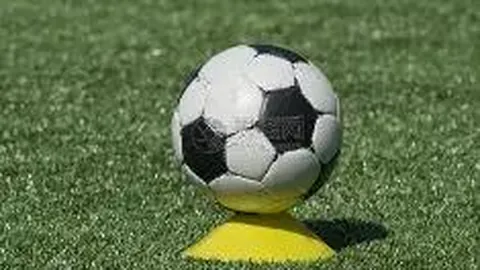 米乐体育 资讯 103507 gwx