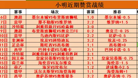 2022-2023赛季欧冠进球王座：那不勒斯22球领跑，皇马紧追，拜仁与利物浦同列第三